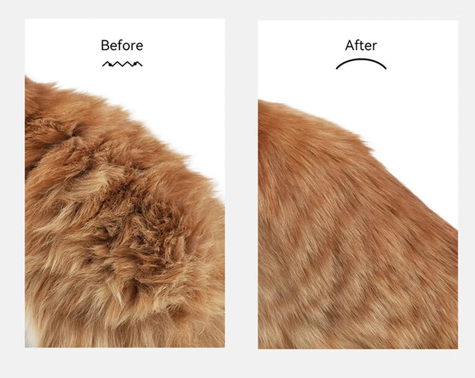 ROJECO Pet Spray Hair Comb